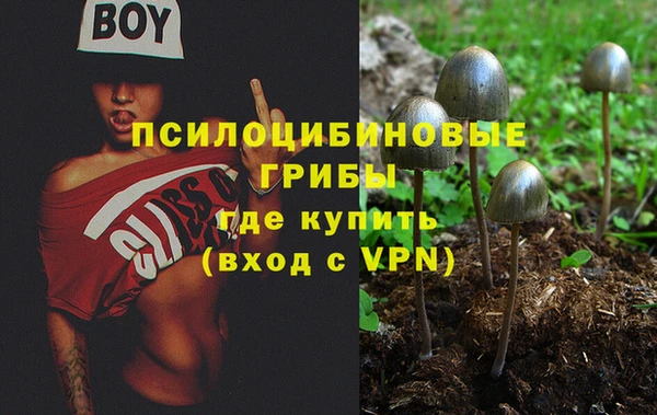 крисы Остров