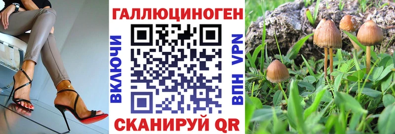 купить закладку  Азов  Галлюциногенные грибы Psilocybe 