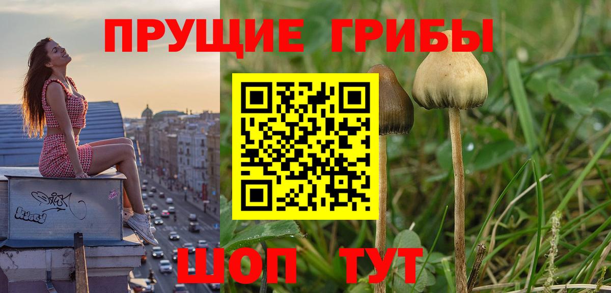Азов  Галлюциногенные грибы Psilocybine cubensis  Вход с VPN  закладка  Псилоцибиновые грибы GOLDEN TEACHER 